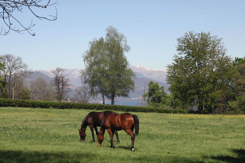 La Cucchetta Bed & Breakfast Dormelletto Dış mekan fotoğraf